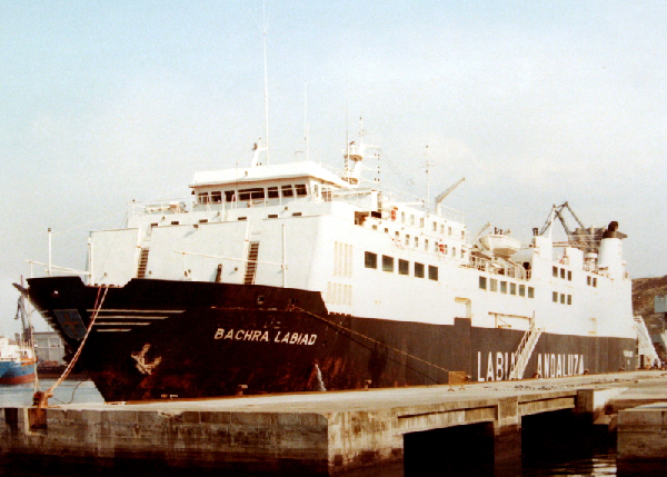 Bachra Labiad - Collection L. Santa Olaya Bachra Labiad - Collection L. Santa Olaya